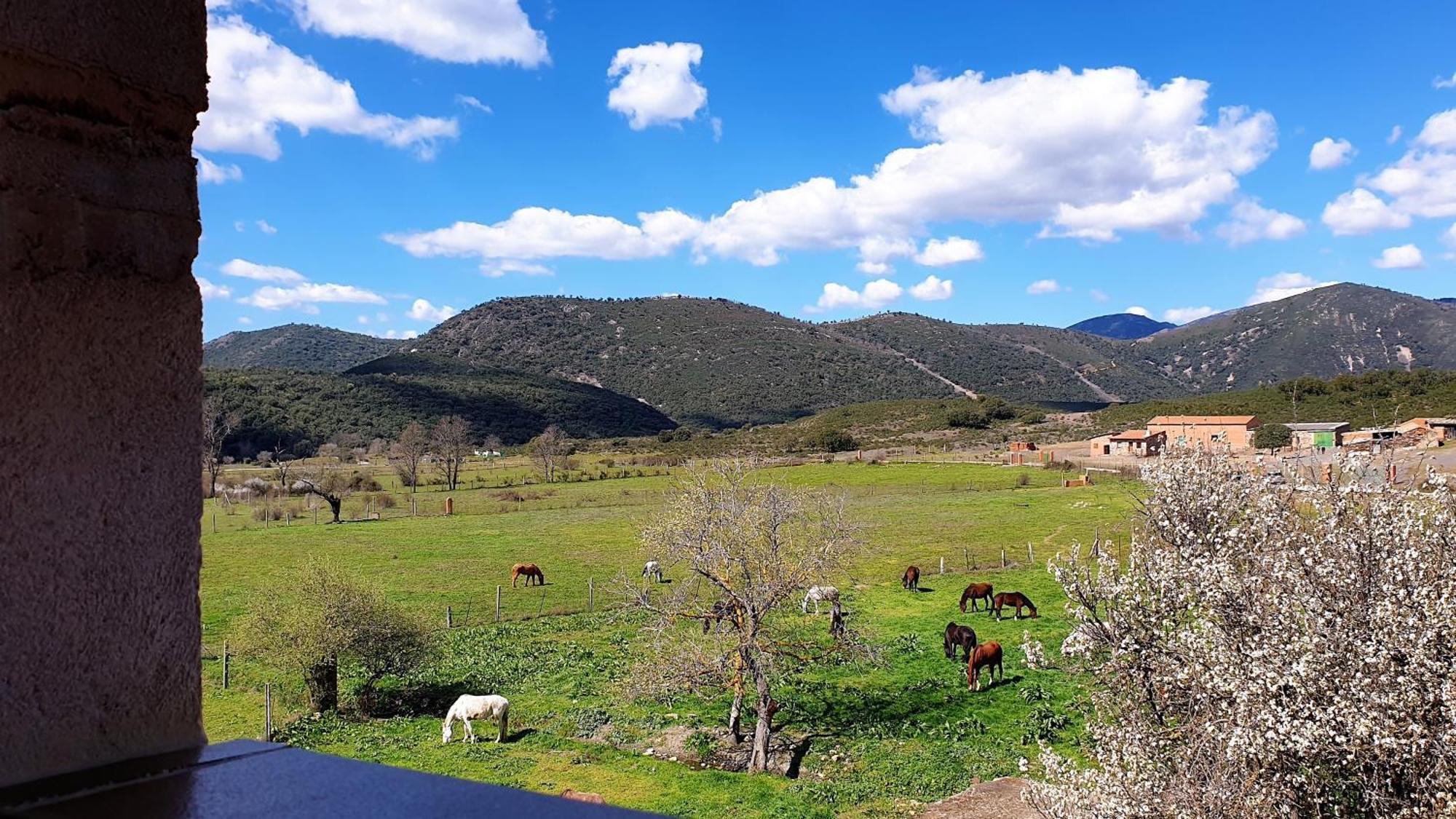 Casa Con Piscina En Parque Nacional De Cabaneros Navas de Estena Exteriör bild